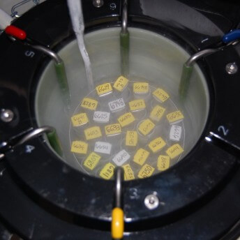 Still from Beautiful Sin. Cryopreserved embryos labeled with numbers.