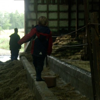 Still from Betting the Farm. A young child walks inside of a barn.