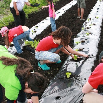 A group of kids in colorful clothes plant crops. Color photograph.