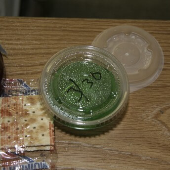 Still from The Patron Saints. A close-up shot of a packet of saltines and green sauce in a plastic ramekin atop a table. The top of the ramekin has "3/30" written on it in black marker.