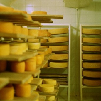 Still from Visitor's Day. Many cakes of varying sizes sit on shelves full of trays.