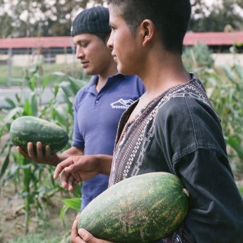 Still from Visitor's Day. Two young men stand in a field holding melons.