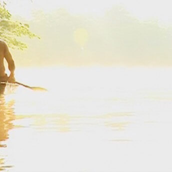 A person rowing in a sunlit body of water. Color photograph.