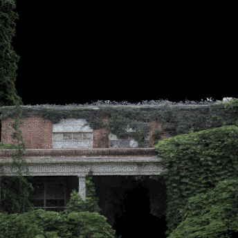 A house surrounded by green vegetation.