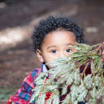 Still from The F Word: A Foster-to-Adopt Story. A curly-haired toddler in a blue and red plaid shirt is holding up a small pine tree branch in front of his face, obscuring his mouth. He is looking directly into the camera.