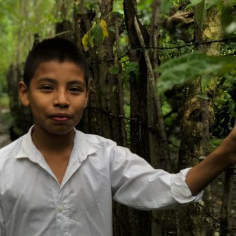 A young boy wearing a white shirt puts his hand on a fence. He is surrounded by nature.