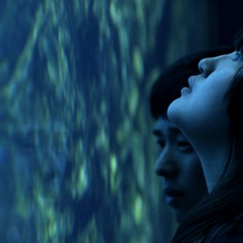 Still from All of Our Heartbeats Are Connected Through Exploding Stars. Two persons looking at a water tank, their reflection on the glass in visible.