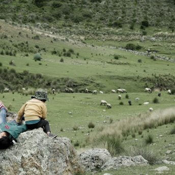 Still from El Eco. Two young kids sit on a large rock jutting out from the side of a grassy hill. They are facing away from the camera. In front of them is a grassy valley with sheep grazing in it.