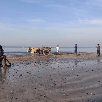Production shot of Against the Tide. A man with a camera records other three men on the sea shore, there is a carriage with an animal pulling it and three men standing next to the carriage.