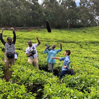 Four people stand in the middle of a large green patch of shrubbery that is knee height. Two are holding cameras and one is holding a boom. The fourth has a satchel and points off into the distance.