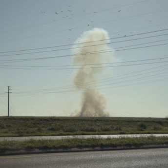 A large plume of smoke encircled by buzzards over sugar cane fields