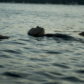A woman swimming in water, with stretched arms and facing the sky