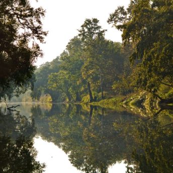 Scenes of an Indian forest, on the river