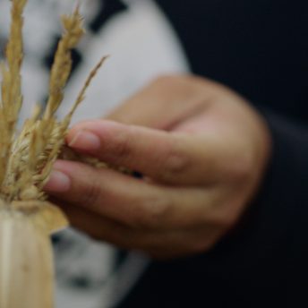 Still from Sol in the Garden. A woman's hand is touching a dried corn husk.