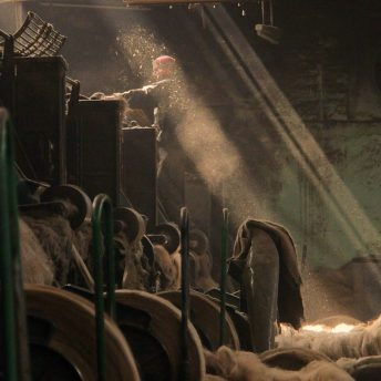 Dust-filled jute factory