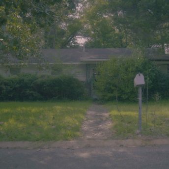 shrubs and greenery grow around a one story house under an undercast sky