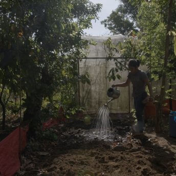 A woman waters her garden with a watering can in the sunlight